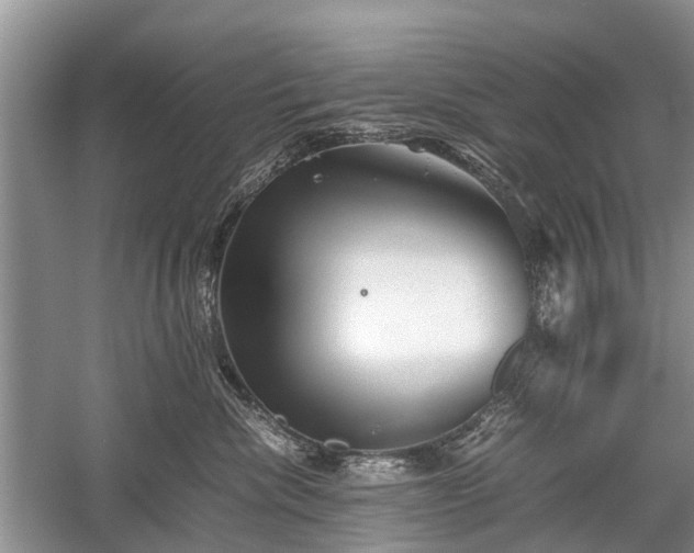 X0000059800476200510241334