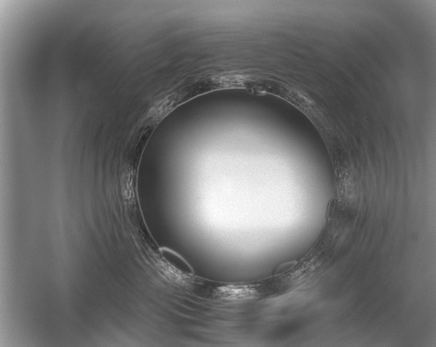 X0000059800477200510241334