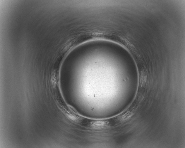 X0000059800479200510241334