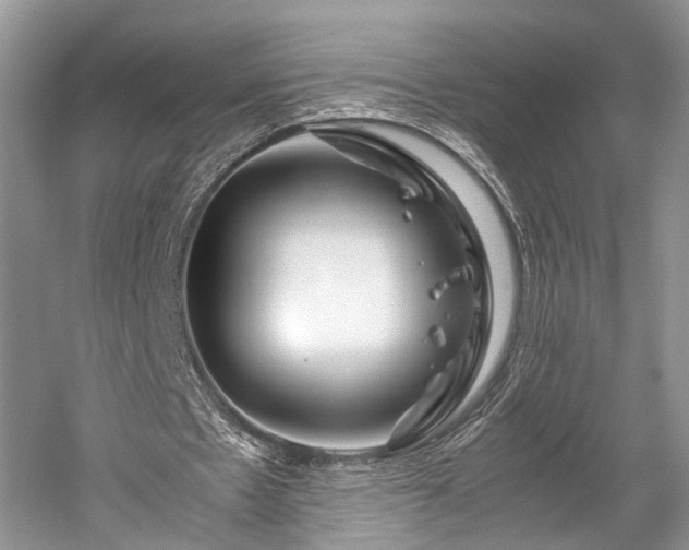 X0000059800481200510241333