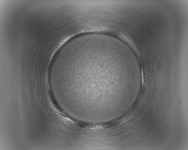 X0000059800483200510241333