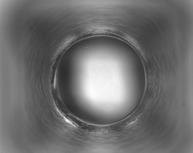 X0000059800485200510241333