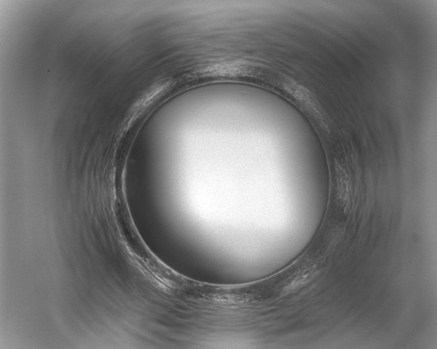 X0000059800486200510241333