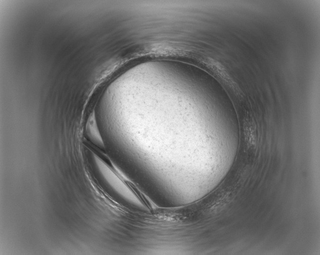 X0000059800488200510241333