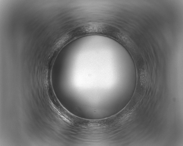 X0000059800490200510241333