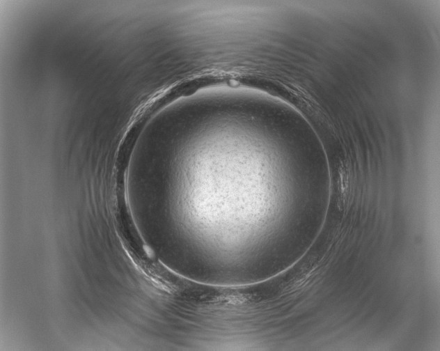 X0000059800492200510241333