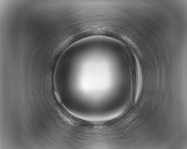 X0000059800493200510241333