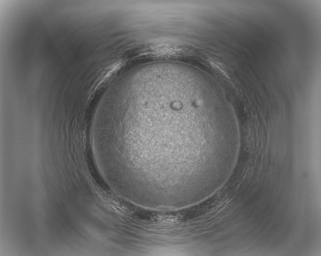 X0000059800495200510241333