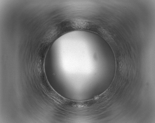 X0000059800498200510241333