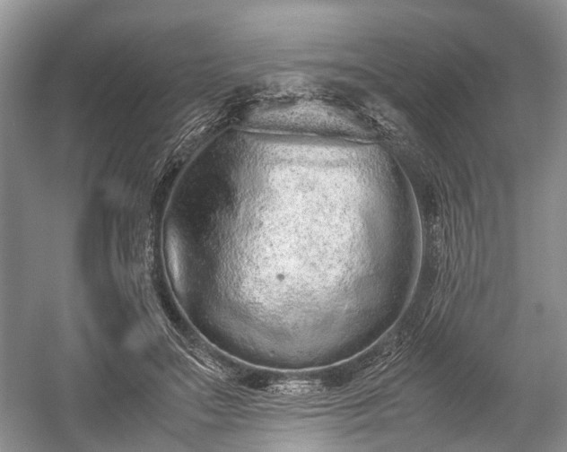 X0000059800499200510241333