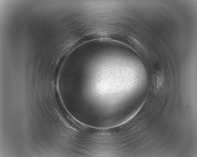 X0000059800500200510241333