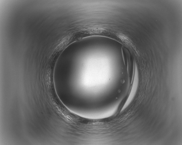 X0000059800501200510241333