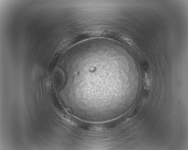 X0000059800503200510241333