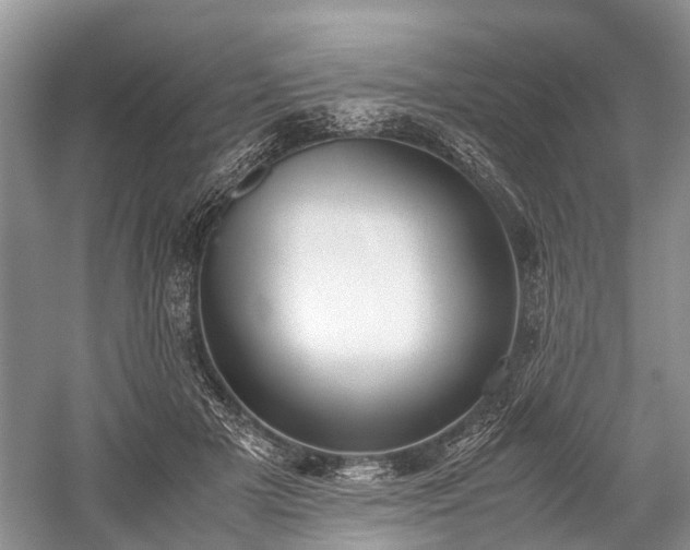 X0000059800505200510241333