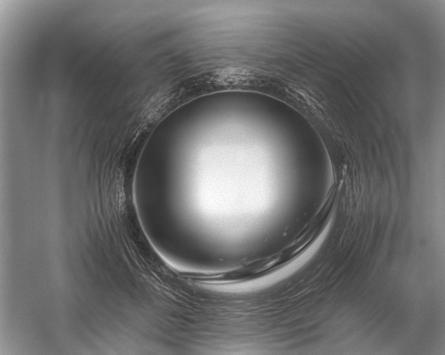 X0000059800508200510241333