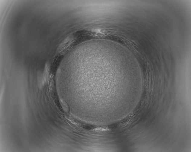 X0000059800511200510241332