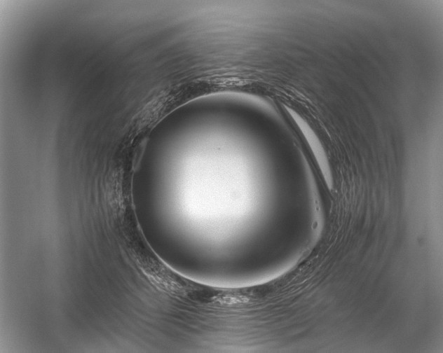 X0000059800512200510241332