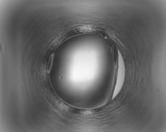 X0000059800513200510241332