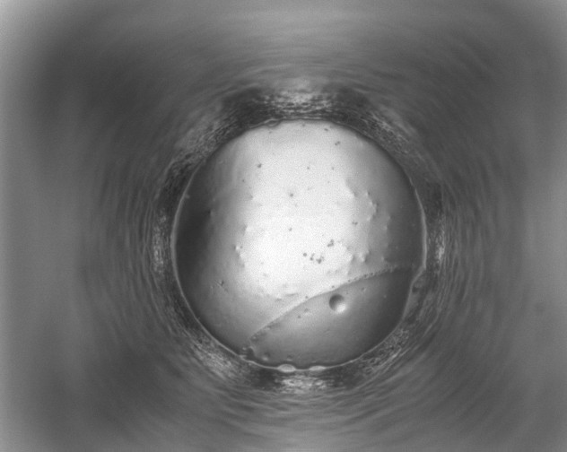 X0000059800515200510241332