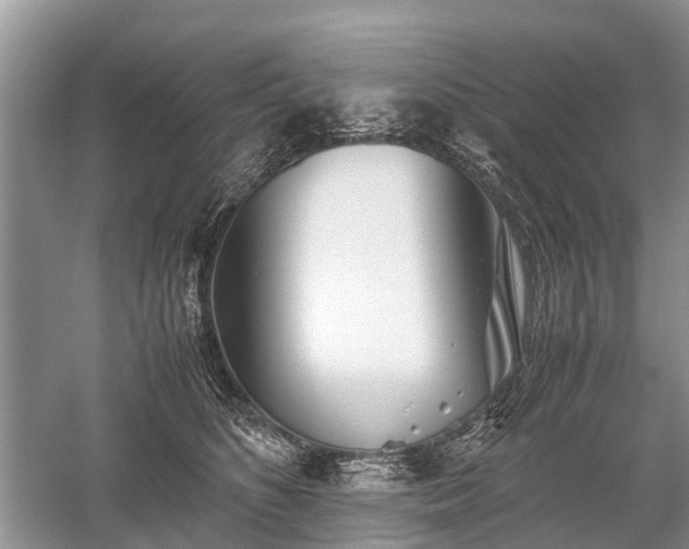 X0000059800516200510241332