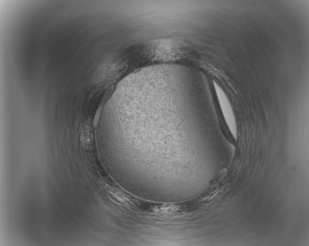 X0000059800517200510241332