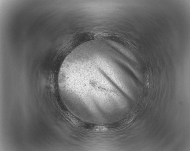 X0000059800519200510241332