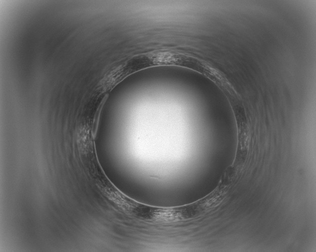 X0000059800521200510241332