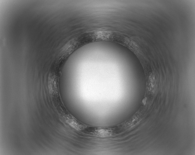 X0000059800522200510241332