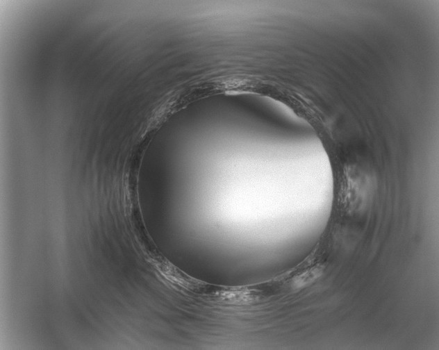 X0000059800524200510241332