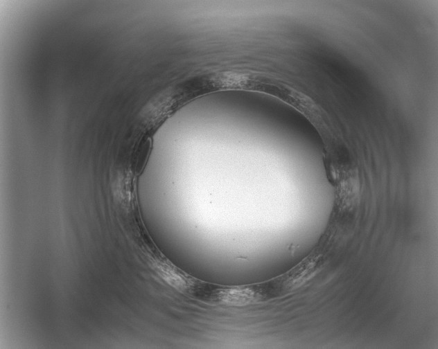 X0000059800525200510241332