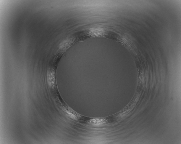 X0000059800526200510241332