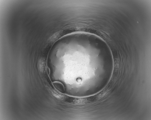 X0000059800527200510241332