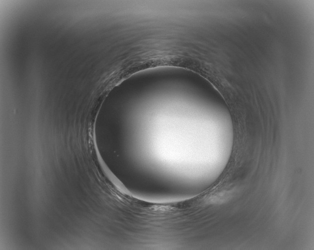 X0000059800528200510241332