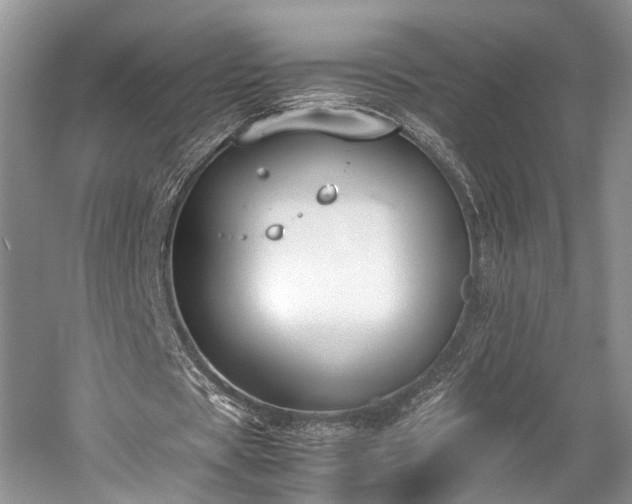 X0000059800529200510241331