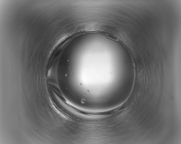 X0000059800530200510241331