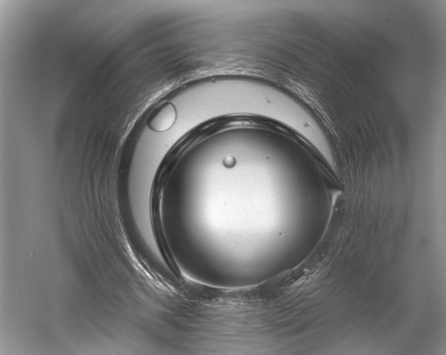 X0000059800534200510241331