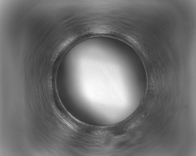 X0000059800535200510241331