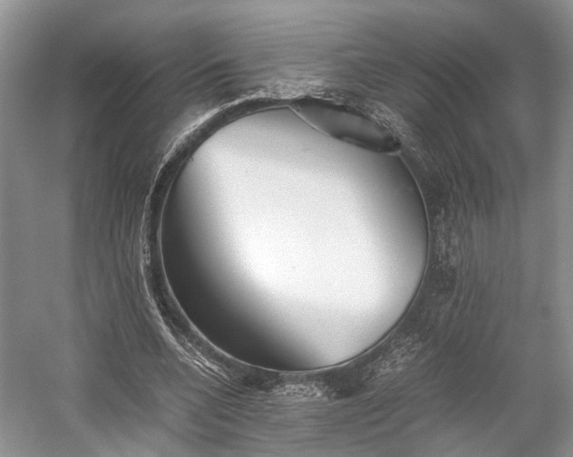 X0000059800536200510241331