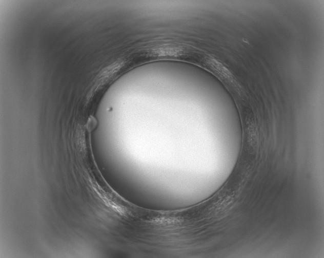 X0000059800537200510241332