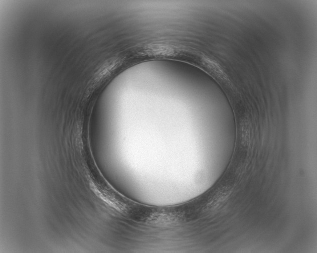 X0000059800538200510241332