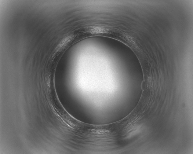 X0000059800539200510241332