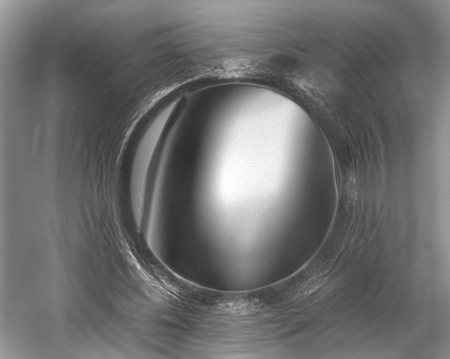 X0000059800540200510241332