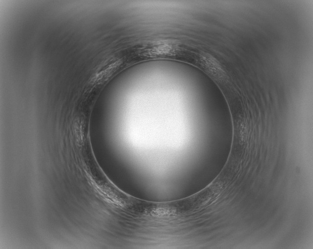 X0000059800546200510241332