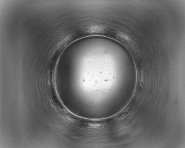 X0000059800547200510241332