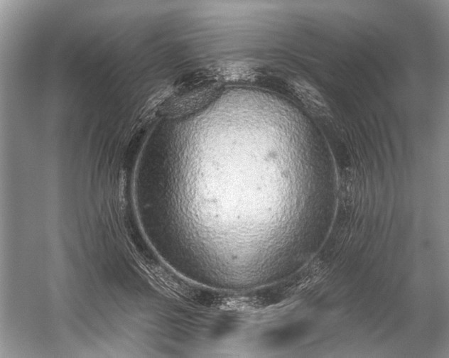 X0000059800550200510241332