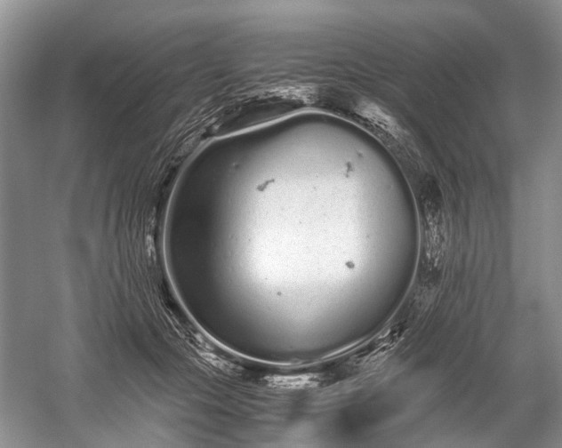 X0000059800553200510241332