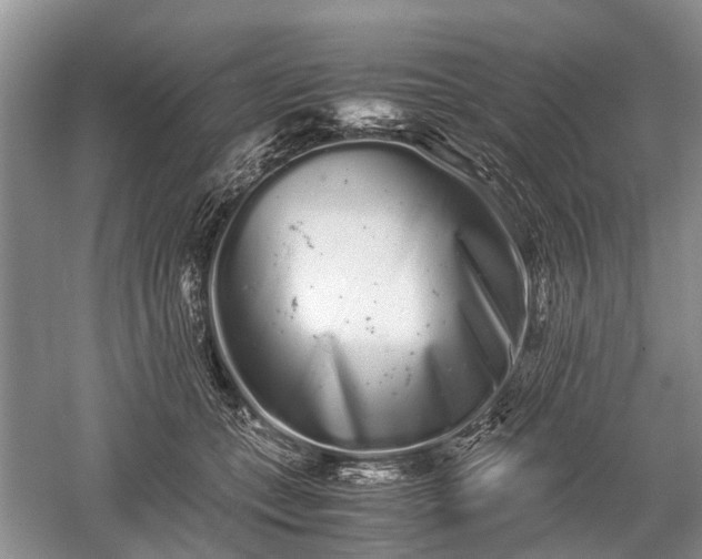 X0000059800559200510241332