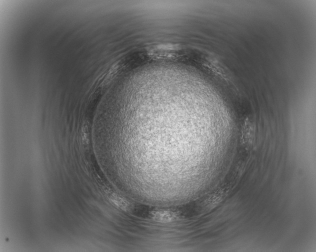 X0000059800561200510241332