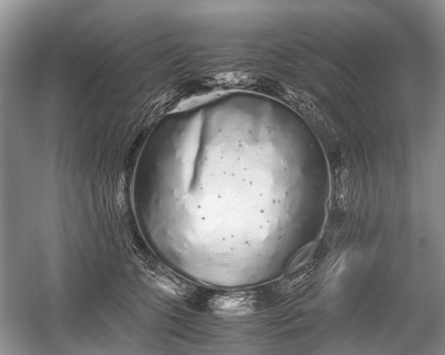 X0000059800563200510241332