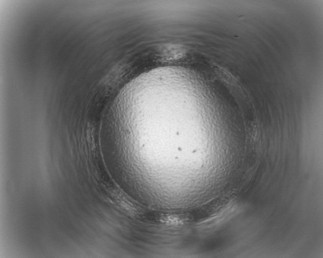 X0000059800565200510241332